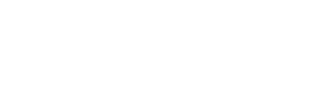 Safarix logo